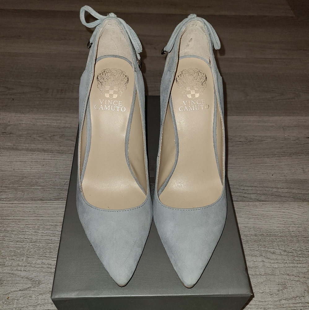 CARISSAH  SUEDE POINTED TOE PUMP